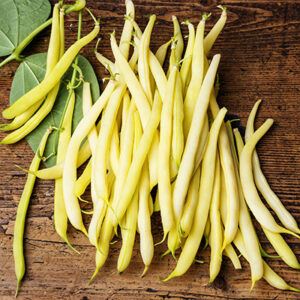 jKNJjEKcwSKoH00blffsgRjHo2CTrOEt