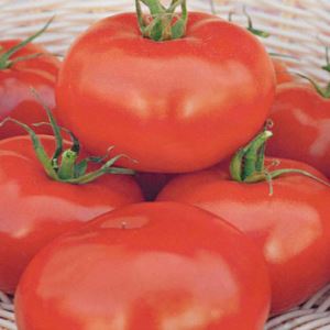 jbeaffxQltcYLKp1BvZPK0wne6Z7D0mm300_300-1