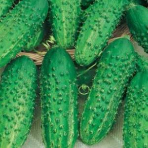 jqoiv8J606QYLt22CbdpIm6S4ugn9OFV300_300-1