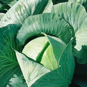 jwOXbMm8RZwST5nTS3KGlC0FNH0bz5An300_300-1