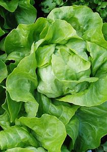 kDtCOt4BnyOLfMpAe1wD820ZrEF563S5300_300-1