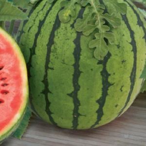 kLTfAwJWWqita8q9ptvUHjAc8jWPRntx300_300-1