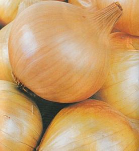 kg2VNXiH5dETvGuqzmu4SGmc7LsSoztp300_300-1