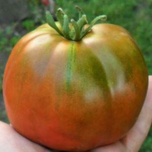 kzEgulGf5iQlQgLLKmPpxeIIN1VKrIEp300_300-1