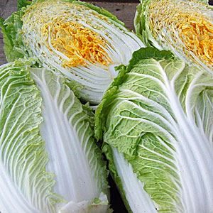 lUuqVMgm9l3yn41HqoRPUp1avT1WoPzM300_300-1