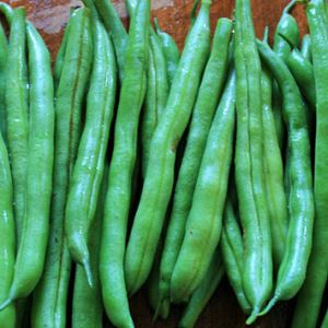 ltFSioE2voKmOqjvmjJxLZ0KNbze42bC300_300-1