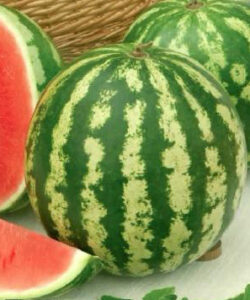 lxkSySqxIZcwcPzIldHcnTOcu8Zk7pgo