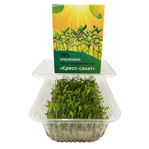 mBSoPd91SRgDg8cOv15J7lmO2P0MqVFV300_300-1