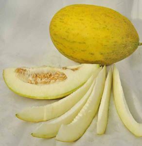 mVOn343soeBkLkOveAOtNLpvMfgvqDCX300_300-1