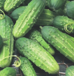 mqoMVRaDmsrI2AVpN54V149r56RgrefJ