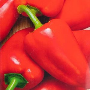 n1hakfWVYuyqlRsm1H3wfLNsfnlNcXzG300_300-1