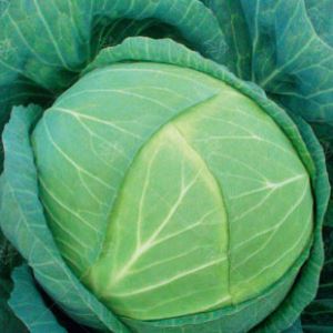 nBrLuRZfOUNeWnGsHYHMpubi1WwZFbTK300_300-1