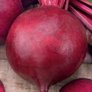 nCQZ4EzngxPPpqe1Iqw8frqQEFnXEnWk300_300-1