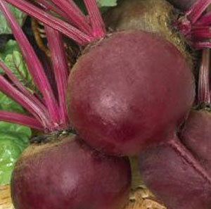 nNYQSfARJ9nsc892CdD5CGKikqwdeX8R