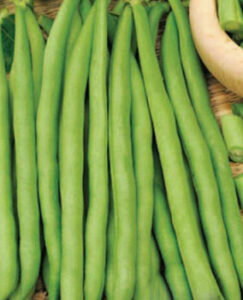 nTUE7hDG0BIElPVauOoKDXCPIIe9W78E