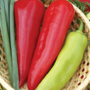 nZDcL3C2EAk6T0ew489edLLM66aB45Dq300_300-1