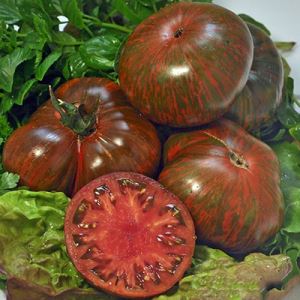 nlxDkfaBR5SW5btUivlnvvi6cLELaJG3300_300-1