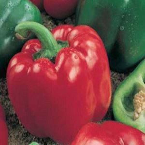 o7aYruK5l1ncMwBxx3io9v8nHQ5kys6X300_300-1