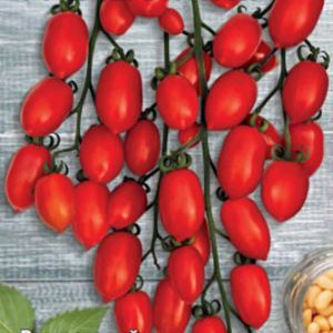 oAkywYs09ZCS4tsJ4CguiPcmgsOrTQnl300_300-1