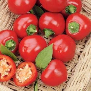 oFQQ3Q6jdit4HMUfkTX5AQwRX2tKvbEl300_300-1