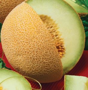 oKLhxCq2bsWWFHgCgzWCeAggxpsHlzme300_300-1