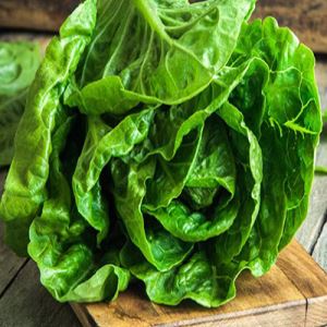 oXY21tple7ykOpuHpcUTVuZXlZMxNesb300_300-1