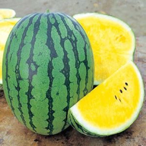 osdzFIrUrKA0huGmvkPQ5IM2R8LrYEgm300_300-1