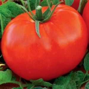 owJv9vl7Gb5MAvUDJbaT8pqICMI00iMB300_300-1