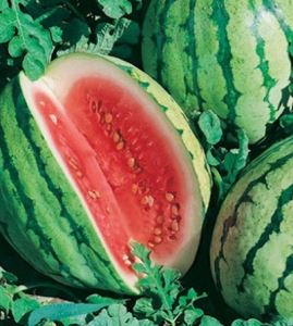 pHxCCOC0YxK7330dXQgR0hMIhumpEQ6L300_300-1