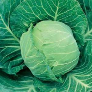 pSRBD2VbYyhqDQJD3PL3thiZs7dPtEIw300_300-1