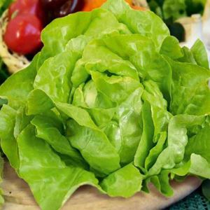 pZCfFMGHONVfB5tkPrcB8fBeW9HAZklA300_300-1