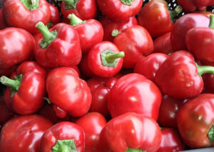 pedrPRnwOs4DREpyemjpSlvxgIIwk3Z4