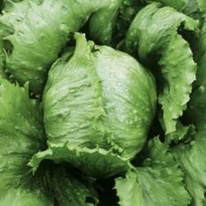 pk8ehPDsTpn4Nw3fWfOLJYYnO6TjrHk6300_300-1