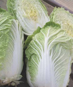 plMDwN6LofwUfYUwnJORFeZyw6HTMl7d