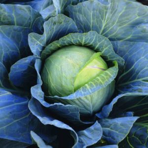 q5FX3XZj8YiTD2Vvq86j12MNGHBvMkSJ300_300-1