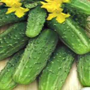 qgVXQvsJSYUqVw7BhBnltv1nQuTgNgF2300_300-1