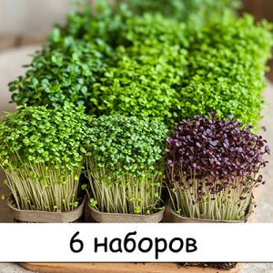 r9GvMOhiF2VqgsEIjSMQBh1cSWULqYFz300_300-1