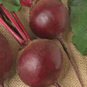 rRPS8kggJUPvOGpOBmlzNYfV9KmNNeBI300_300-1