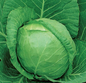 rYLHCUBYtO4sP8T85o753rkO9lWWTwGT