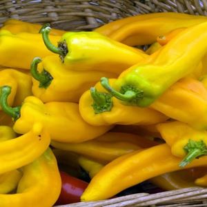 s1lmuIIJ6ooZal7AqNP9Bq3PgrZ2m1Nu300_300-1