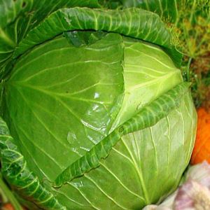 s6og3SIRJuakN8ub1HsJbwu4JWl88nZf300_300-1