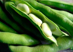 sOLC7AntKEjbDAULIguBnOvEo0cOL77b300_300-1