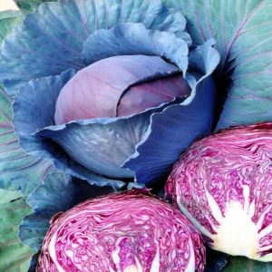 sVRvzzQsoULecXSuoMIYrdzyKbPm73qf300_300-1