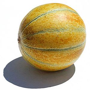 sdcuztiD8m9BXkfCwu0wfMWPKhQSOGPE300_300-1