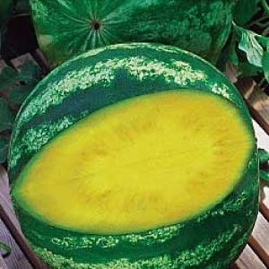 t9SsZHlneUWE4y9fDgjC4LAOu3oal9Ym300_300-1