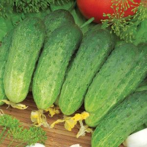 tntw3p1eMVb07F6ONAg8VHTzIkAA90vw300_300-1