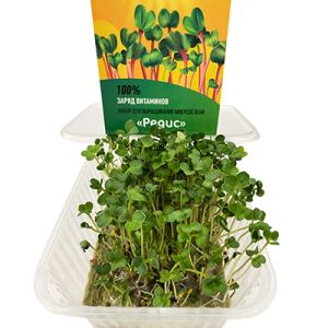 toQFBXElrDyO1EFKk7VKXrYQ3jhnATWz300_300-1