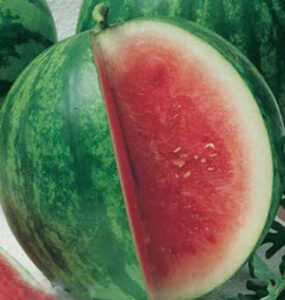 u28ZESVBIzwH6eAxgc7FKcsEwOfSWjS9