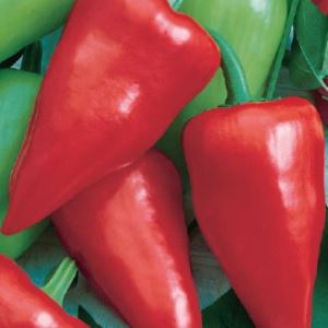 uBCe2NHsC7EdY5Kwa1rmTXCKX1qQbf3D300_300-1