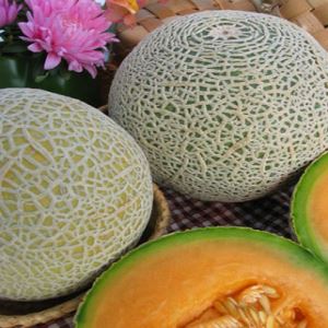 uGrQX6oiz1Si9KAjQNZsh8pDUa8F1Eaz300_300-1